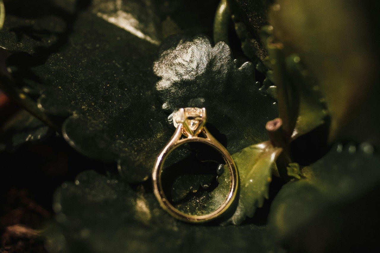 a yellow gold solitaire engagement ring lying on a bed of green leaves